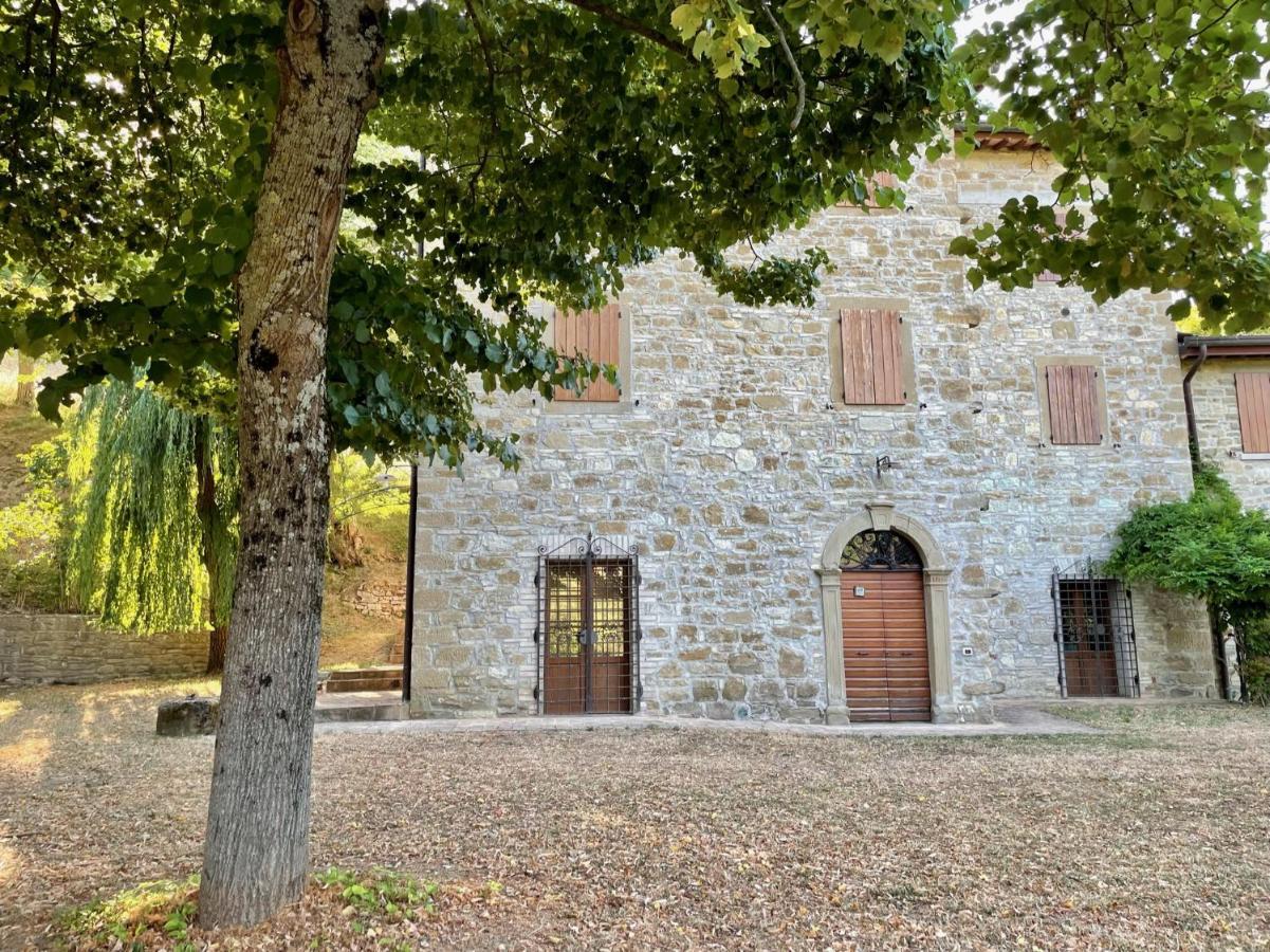 Sambuco Di Sopra Apartment Fratticciola Selvatica Bagian luar foto