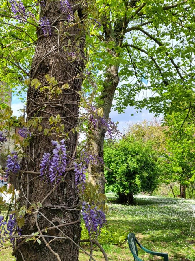 Sambuco Di Sopra Apartment Fratticciola Selvatica Bagian luar foto